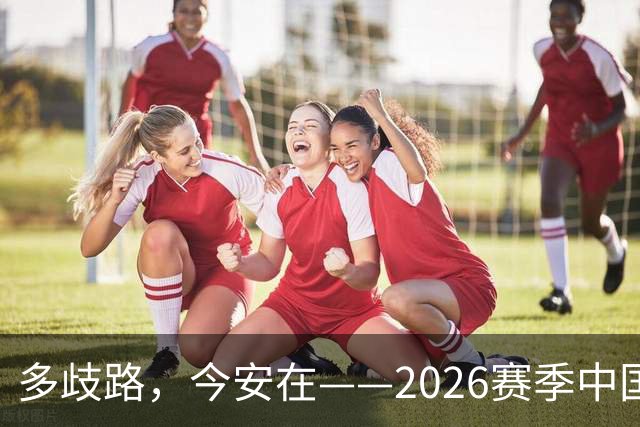 多歧路,今安在——2026赛季中国女排表现观感之四
